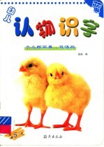 幼儿认物识字 蓝