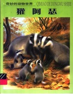 獾阿瑟