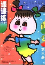 课课练 小学 语文 第6册 第2版