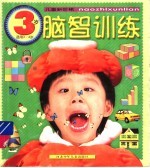 儿童新阶梯：脑智训练 3岁