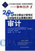 2005年注册会计师考试应试指导及全真模拟测试 审计