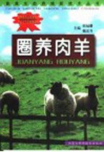 圈养肉羊