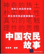 中国农民故事