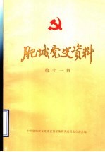 肥城党史资料 第11辑