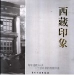 西藏印象 驾车进藏20 一个设计师的西藏印象