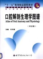 口腔解剖生理学图谱 双语版