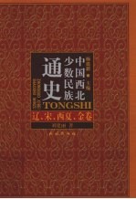 中国西北少数民族通史 辽、宋、西夏、金卷