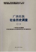 广西壮族社会历史调查 3