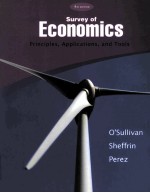 SURVEY OF ECONOMICS PRINCIPLES