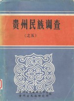 贵州民族调查 10