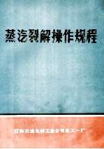 蒸汽裂解操作规程