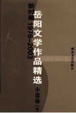 新时期1978-2003岳阳文学作品精选 小说卷 下