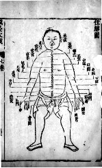针灸大成 16