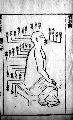 针灸大成 15