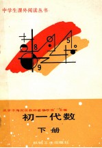 初一代数 下