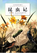 昆虫记 第6卷 松毛虫的行进行列 全译插图珍藏本