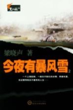 今夜有暴风雪 2