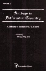 Surveys in Differential Geometry Volume X