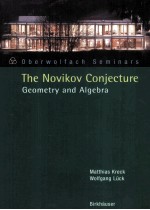 The Novikov Conjecture Geometry and Algebra