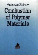Combustion of Polymer Materials