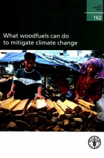 FAO FORESTRY PAPER 162:WHAT WOODFUELS CAN DO TO MITIGATE CLIMATE CHANGE