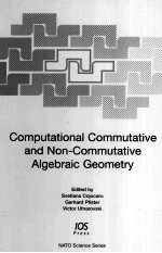 Computational Commutative and Non-Commutative Algebraic Geometry