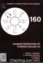 CHARACTERIZATION OF POROUS SOLIDS VII