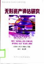 无形资产评估研究