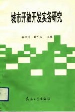 城市开放开发实务研究