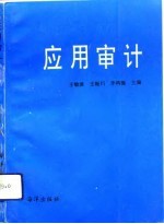 应用审计
