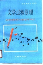 文学过程原理