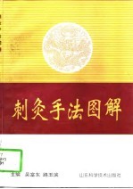 刺灸手法图解
