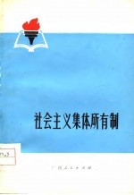 社会主义集体所有制