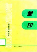 脚印 乡镇领导笔谈录