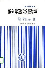 解剖学及组织胚胎学