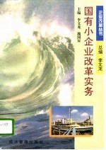 国有小企业改革实务
