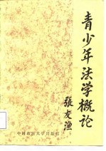 青少年法学概论