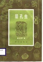 层孔虫