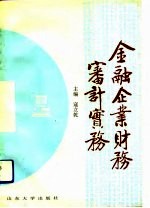 金融企业财务审计实务