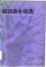 杨润身小说选