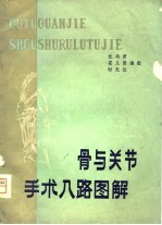 骨与关节手术入路图解