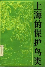 上海的保护鸟类