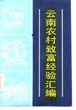 云南农村致富经验汇编