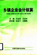 乡镇企业会计核算