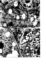 实用生物电子显微术