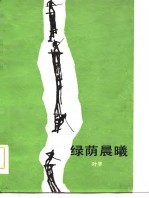 绿荫晨曦