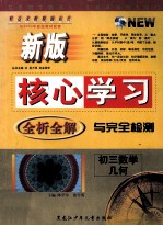 新版核心学习全析全解与完全检测 初三数学 几何