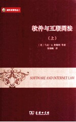 软件与互联网法 上