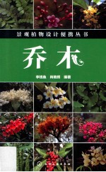 乔木