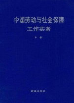 中国劳动与社会保障工作实务 中